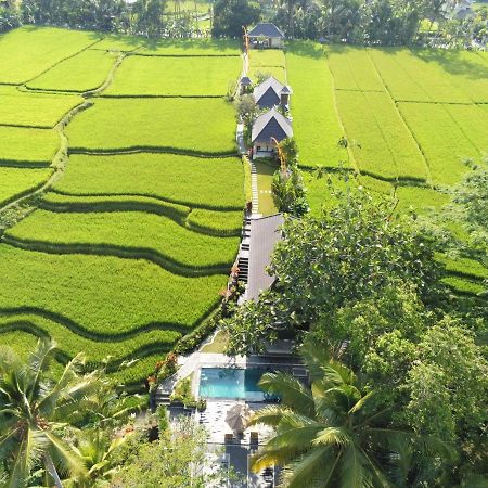 Puri Raya Villa Ubud Exterior foto