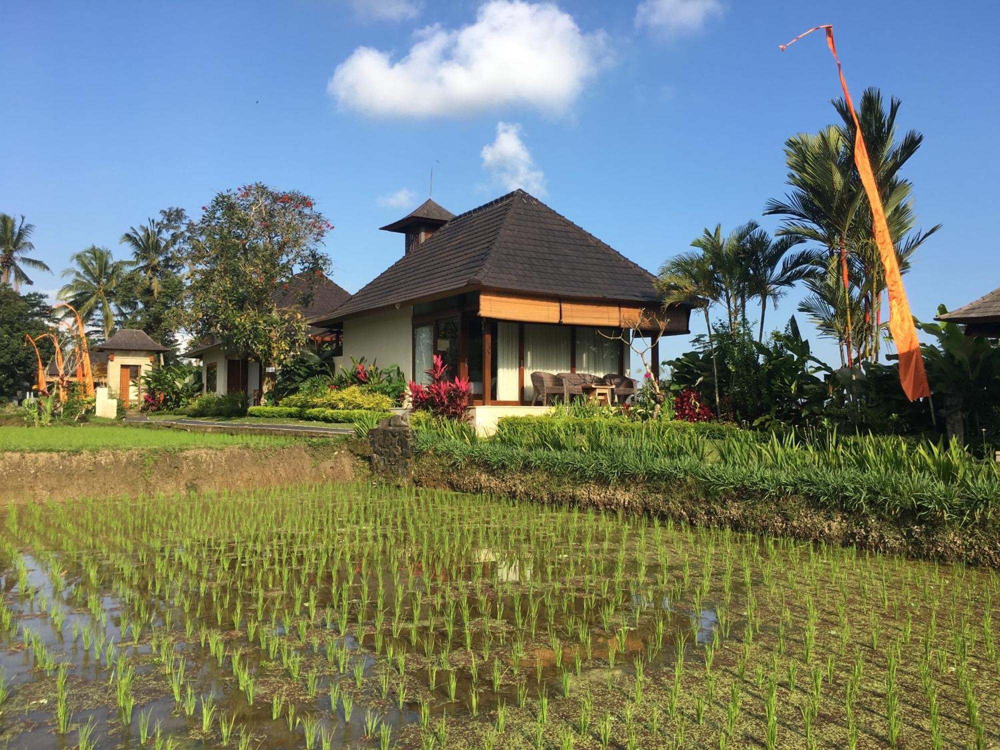 Puri Raya Villa Ubud Exterior foto