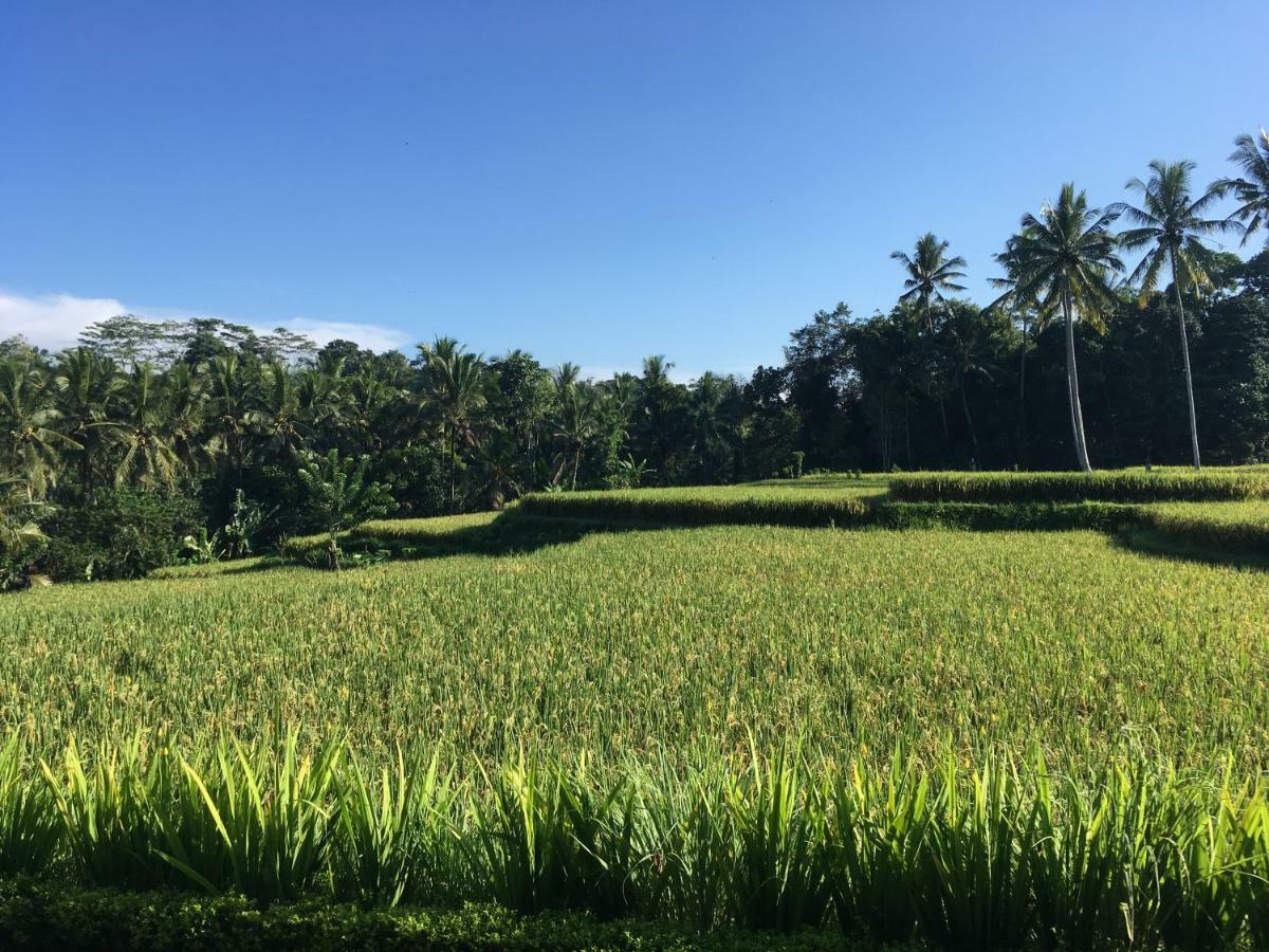 Puri Raya Villa Ubud Exterior foto