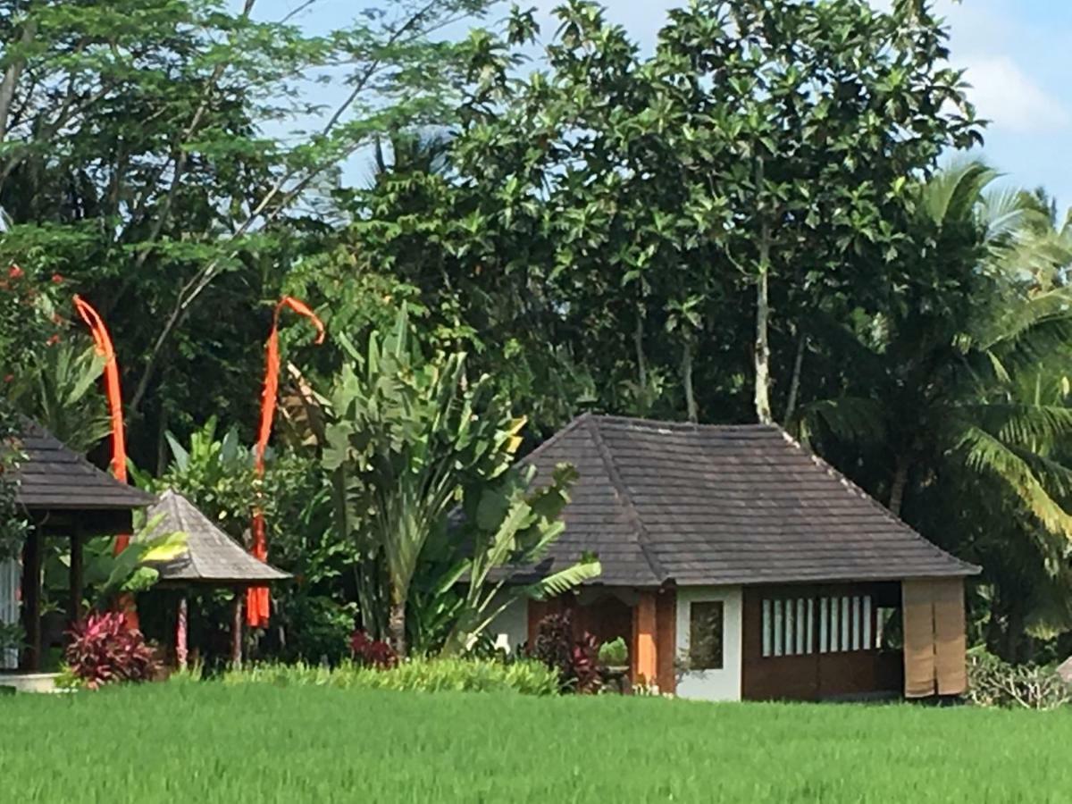 Puri Raya Villa Ubud Exterior foto