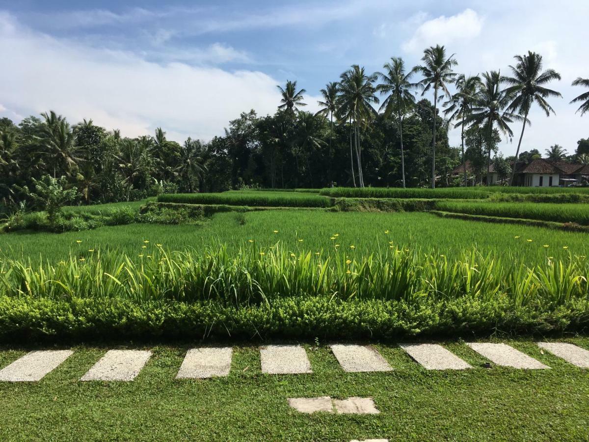 Puri Raya Villa Ubud Exterior foto