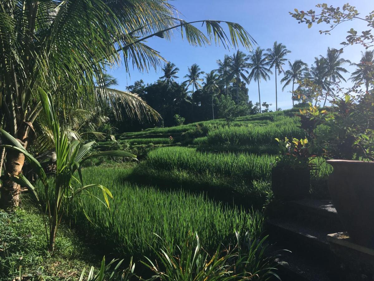 Puri Raya Villa Ubud Exterior foto