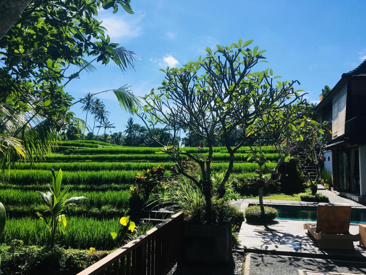 Puri Raya Villa Ubud Exterior foto