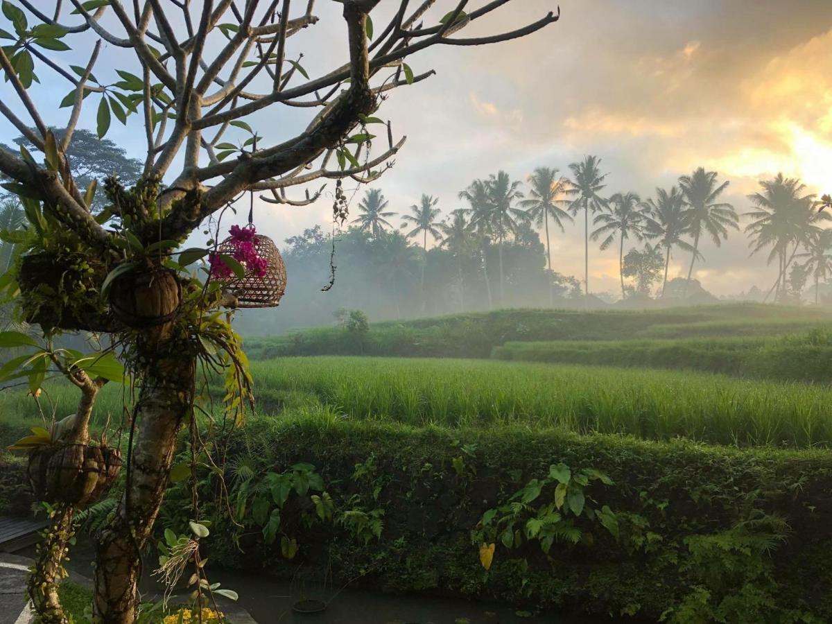 Puri Raya Villa Ubud Exterior foto