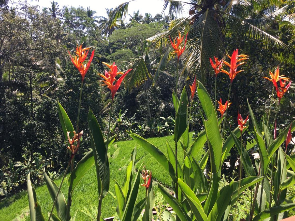 Puri Raya Villa Ubud Exterior foto